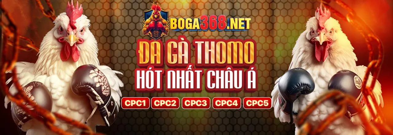 Nền tảng bắn cá an toàn và công bằng của 88xx app